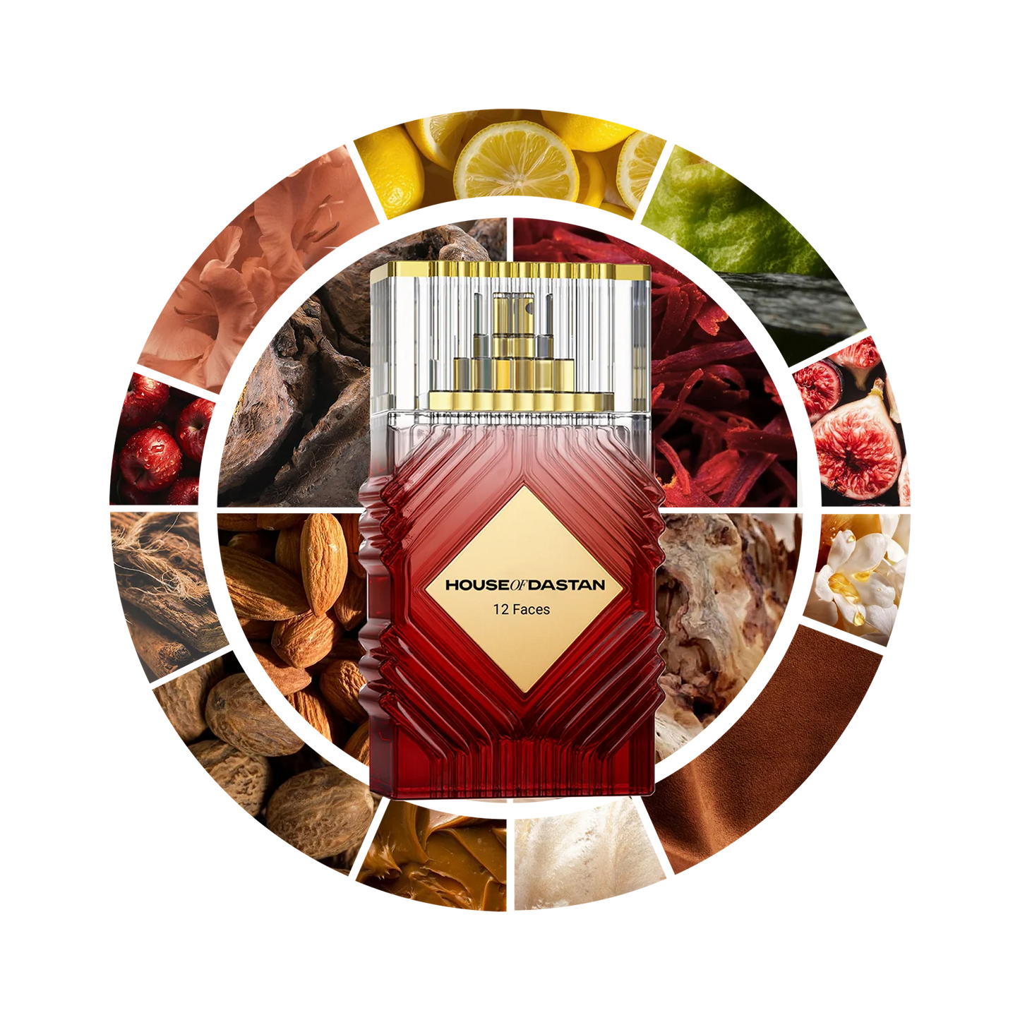 House Of Dastan 12 Faces Samples