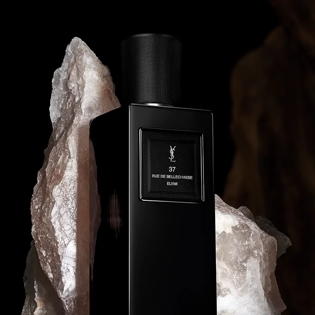 Yves Saint Laurent 37 Rue De Bellechasse Samples