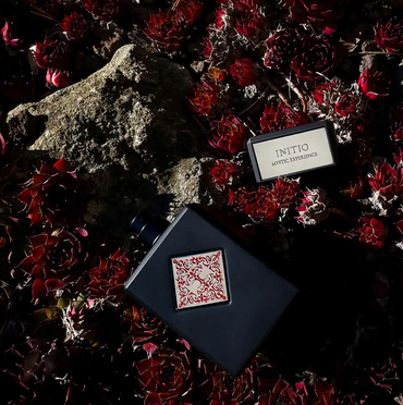 Initio Mystic Experience Samples