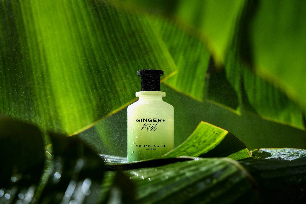 Michael Malul Ginger & Mist Samples