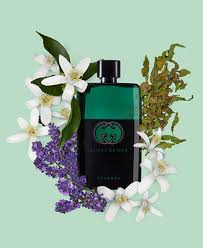 Gucci Guilty Essence Pour Homme Samples