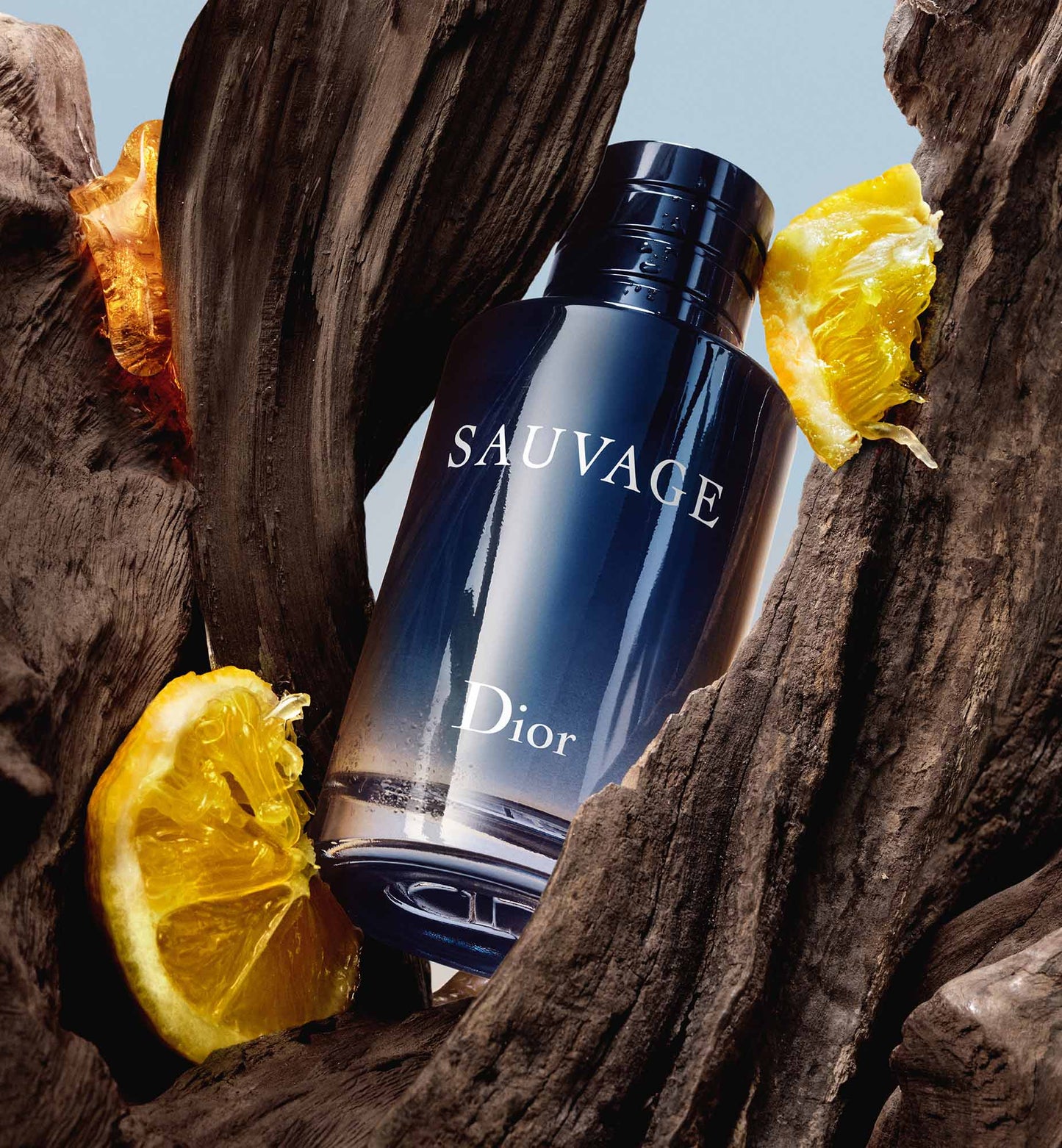 Dior Sauvage EDT Samples