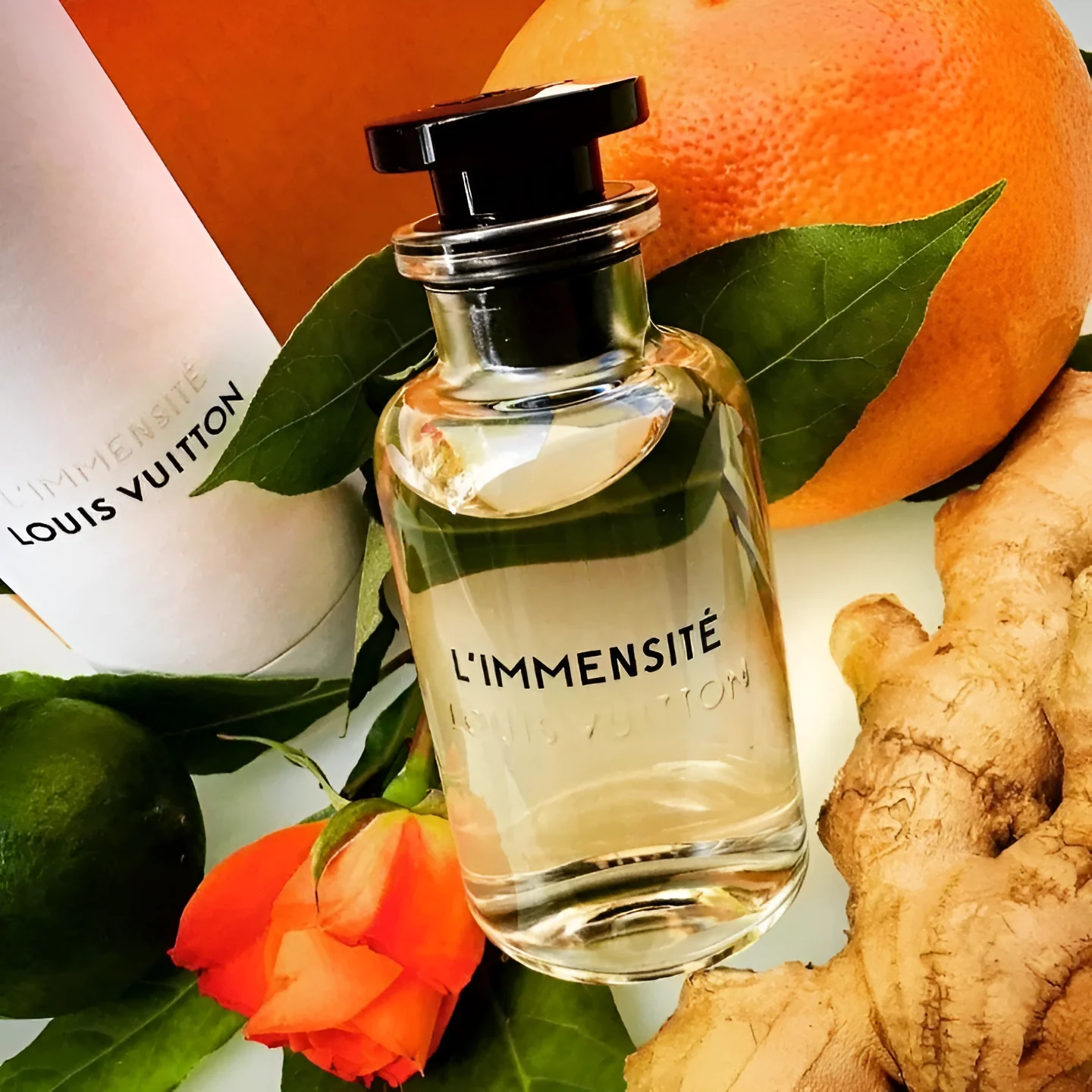 Louis Vuitton L'Immesité Sample