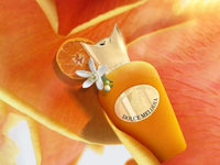 Sospiro Dolce Melodia Samples