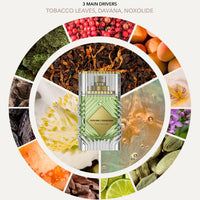 House Of Dastan Five Senses Samples