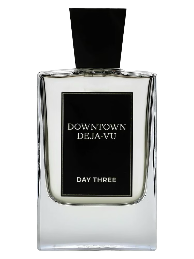 Day Three Downtown Deja-Vu Sample