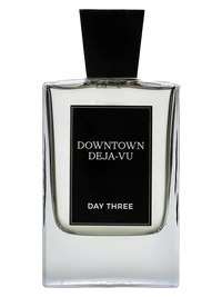 Day Three Downtown Deja-Vu Sample
