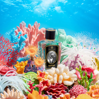 Zoologist Seahorse Samples