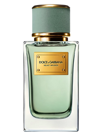 Dolce & Gabbana Velvet Infusion Samples