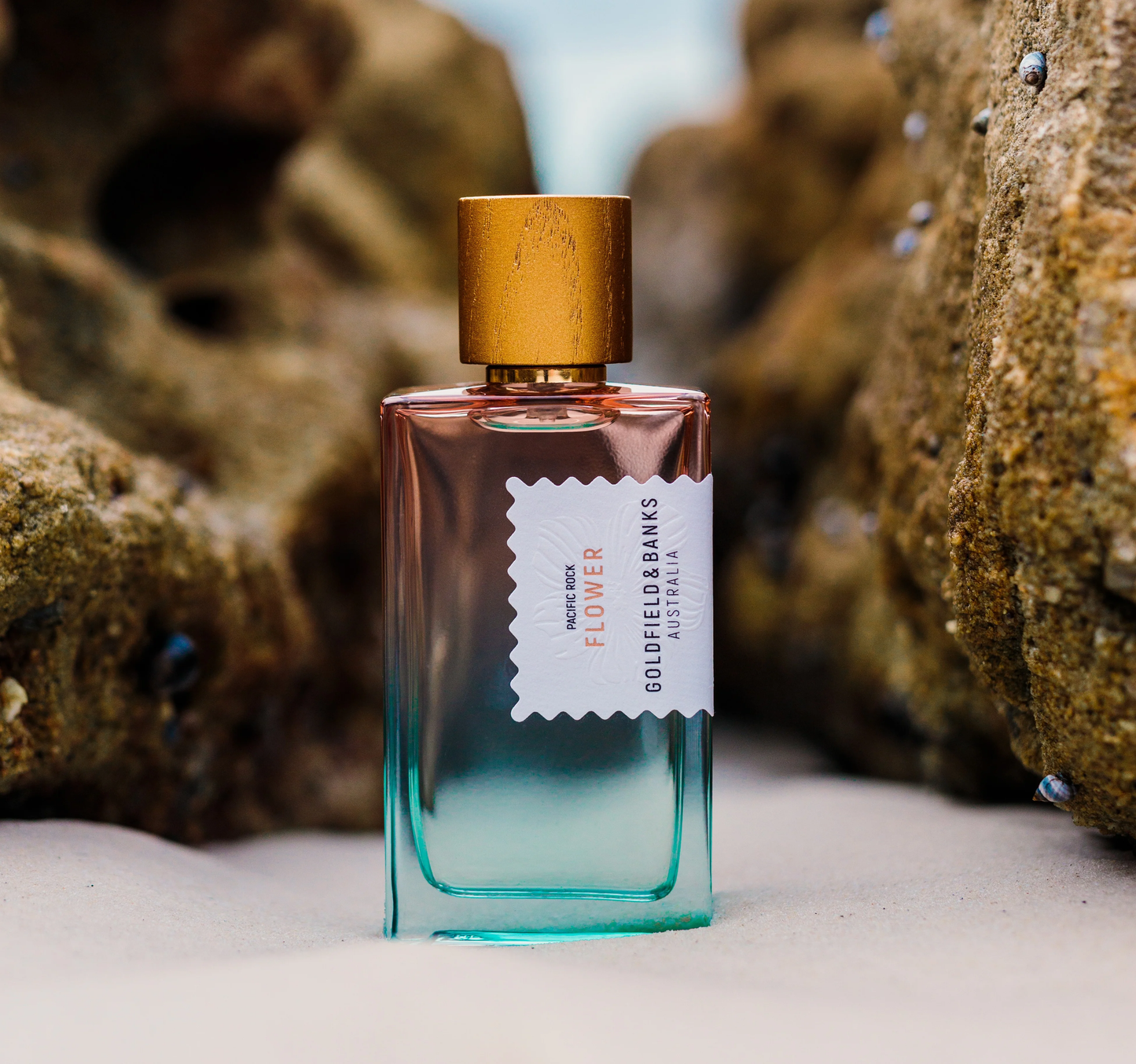 Goldfield & Banks Pacific Rock Flower Sample