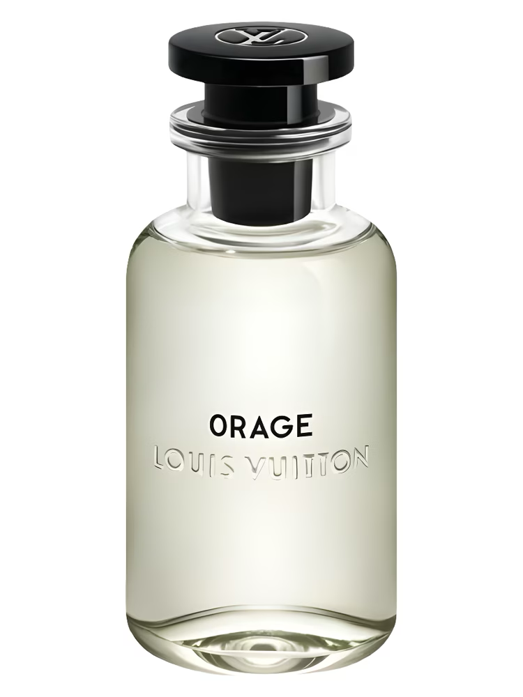 Louis Vuitton Orage Sample