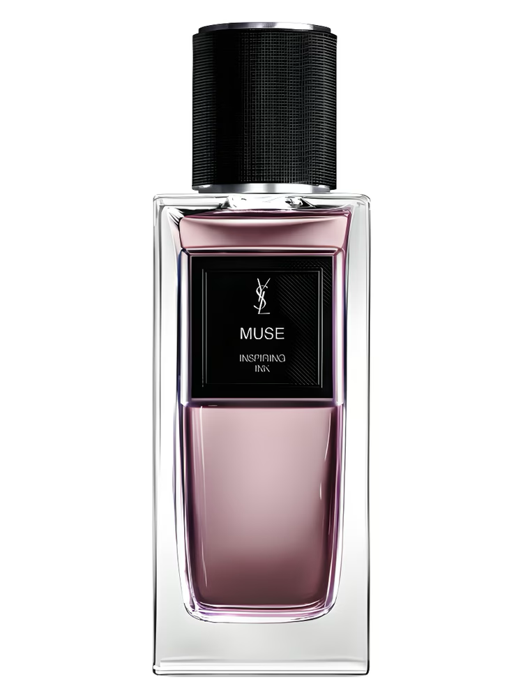 Yves Saint Laurent Muse Samples