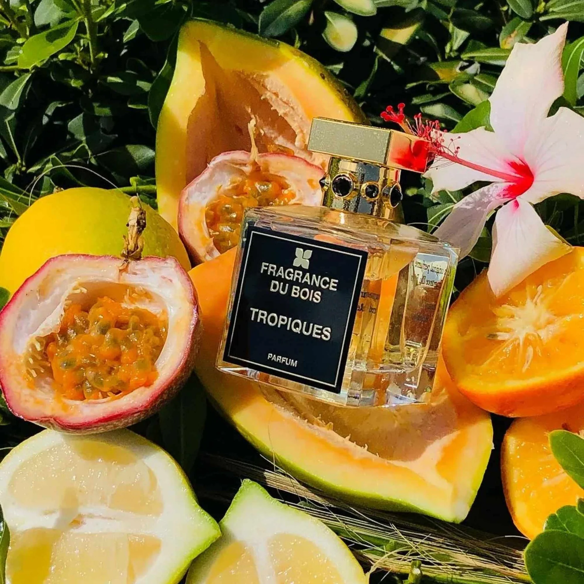 Fragrance Du Bois Tropiques Samples