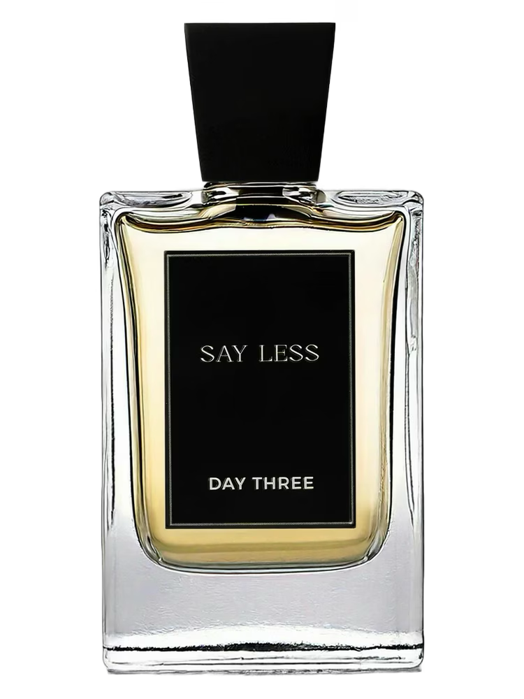 Day Three Say Less Samples