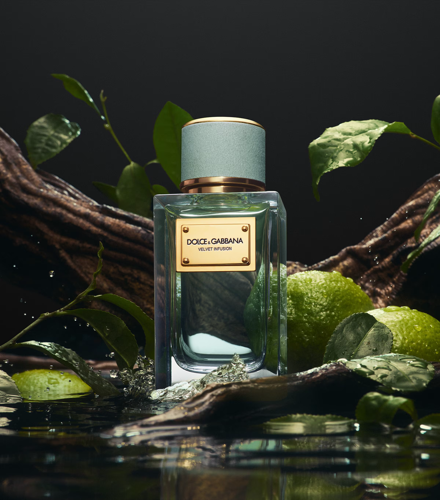 Dolce & Gabbana Velvet Infusion Samples