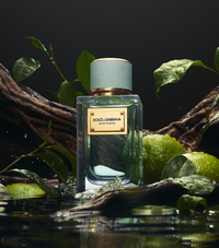 Dolce & Gabbana Velvet Infusion Samples