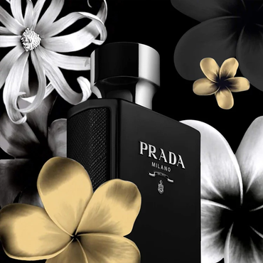 Prada L'Homme Intense Samples