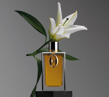 Rabanne Midnight Sex Samples