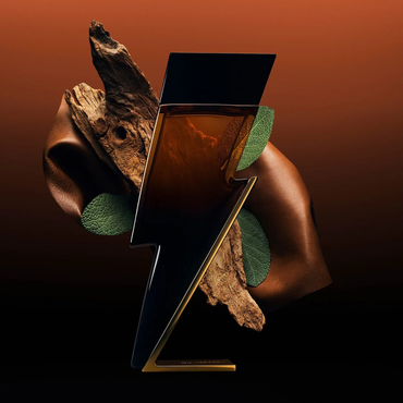 Carolina Herrera Bad Boy Elixir Samples