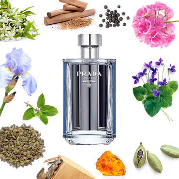 Prada L'Homme L'Eau Samples