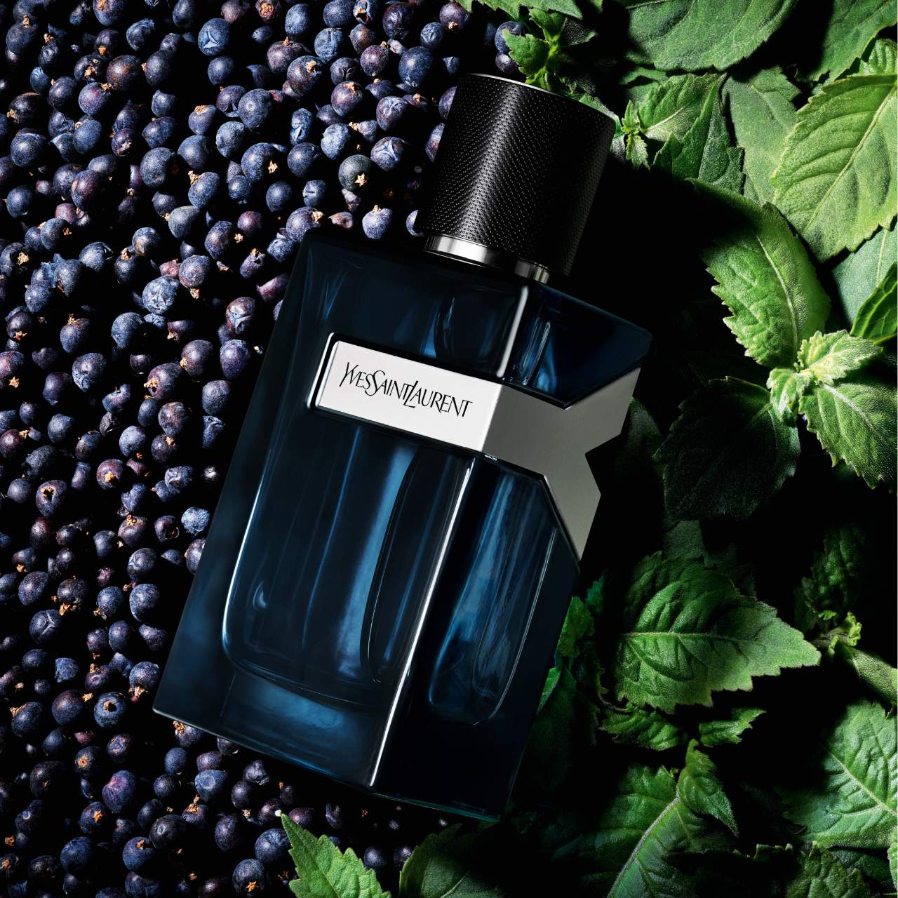 Yves Saint Laurent Y EDP Intense Samples