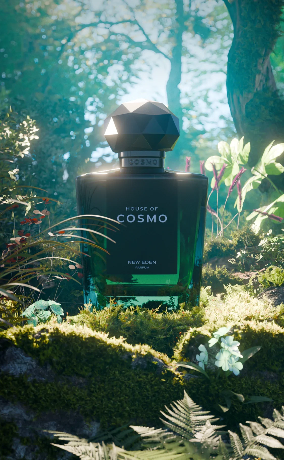House Of Cosmo New Eden Samples