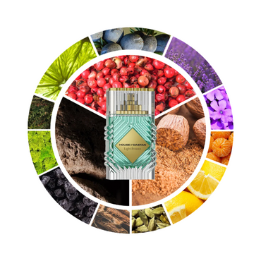 House Of Dastan Light Breeze Samples