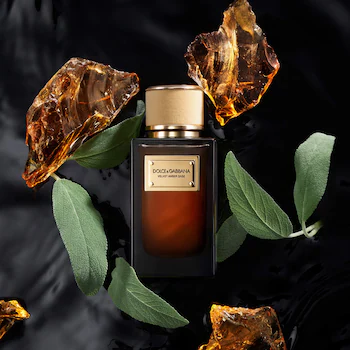 Dolce & Gabbana Velvet Amber Sage Samples